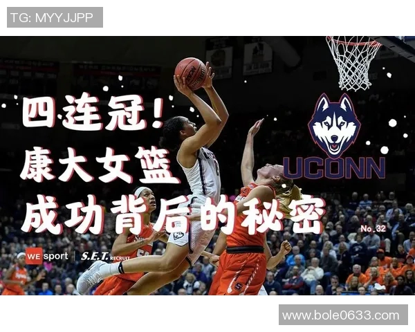 专访陈伟：深入探讨篮球领域成功背后的秘密与经验分享