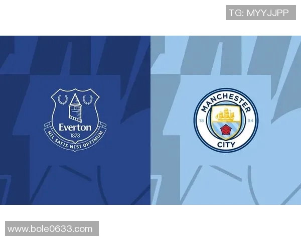 曼城与埃弗顿在1617赛季的精彩对决回顾与分析